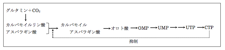 解説画像